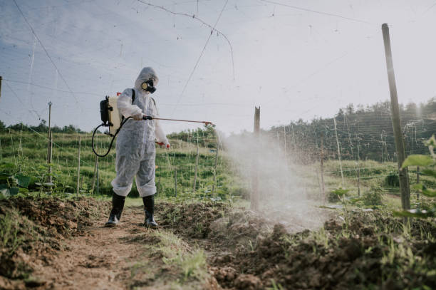 Best Ant Control Services  in Priceville, AL
