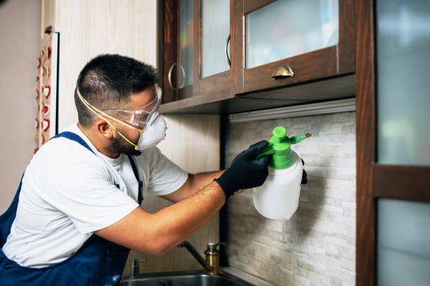 Best Wasp Removal Services  in Priceville, AL