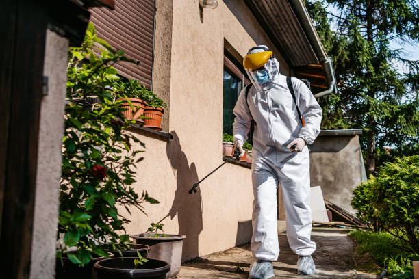 Best Flea Control Services  in Priceville, AL
