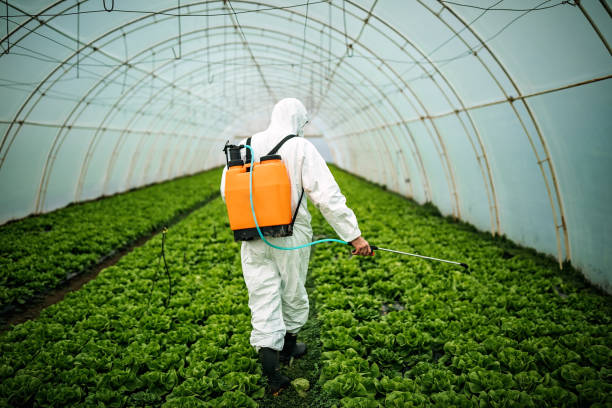 Best Pest Removal Services  in Priceville, AL