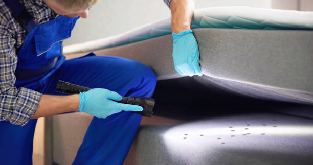 Best Best Pest Control Companies  in Priceville, AL