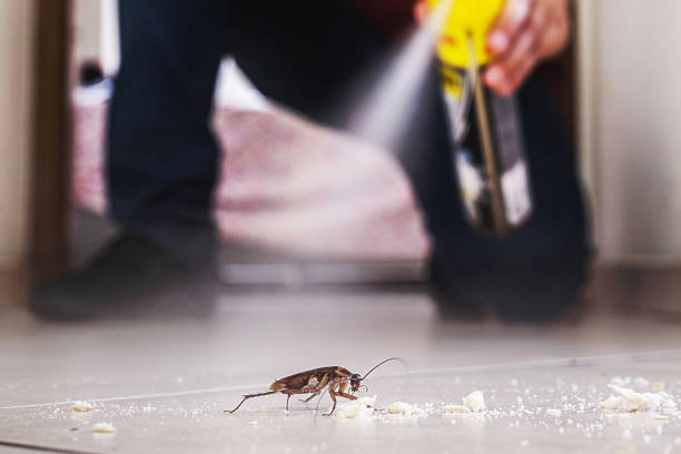 Pest Control for Restaurants in Priceville, AL