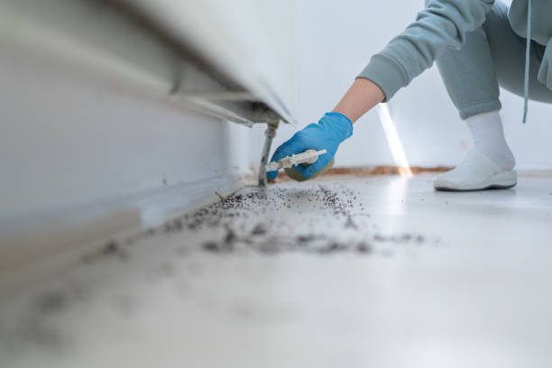 Best Pest Control for Restaurants  in Priceville, AL