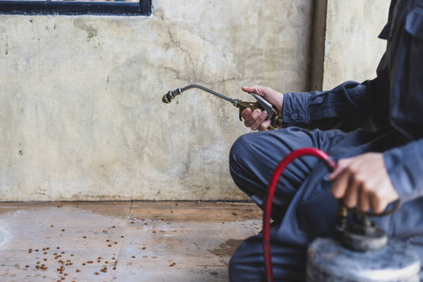 Best Cockroach Control Services  in Priceville, AL